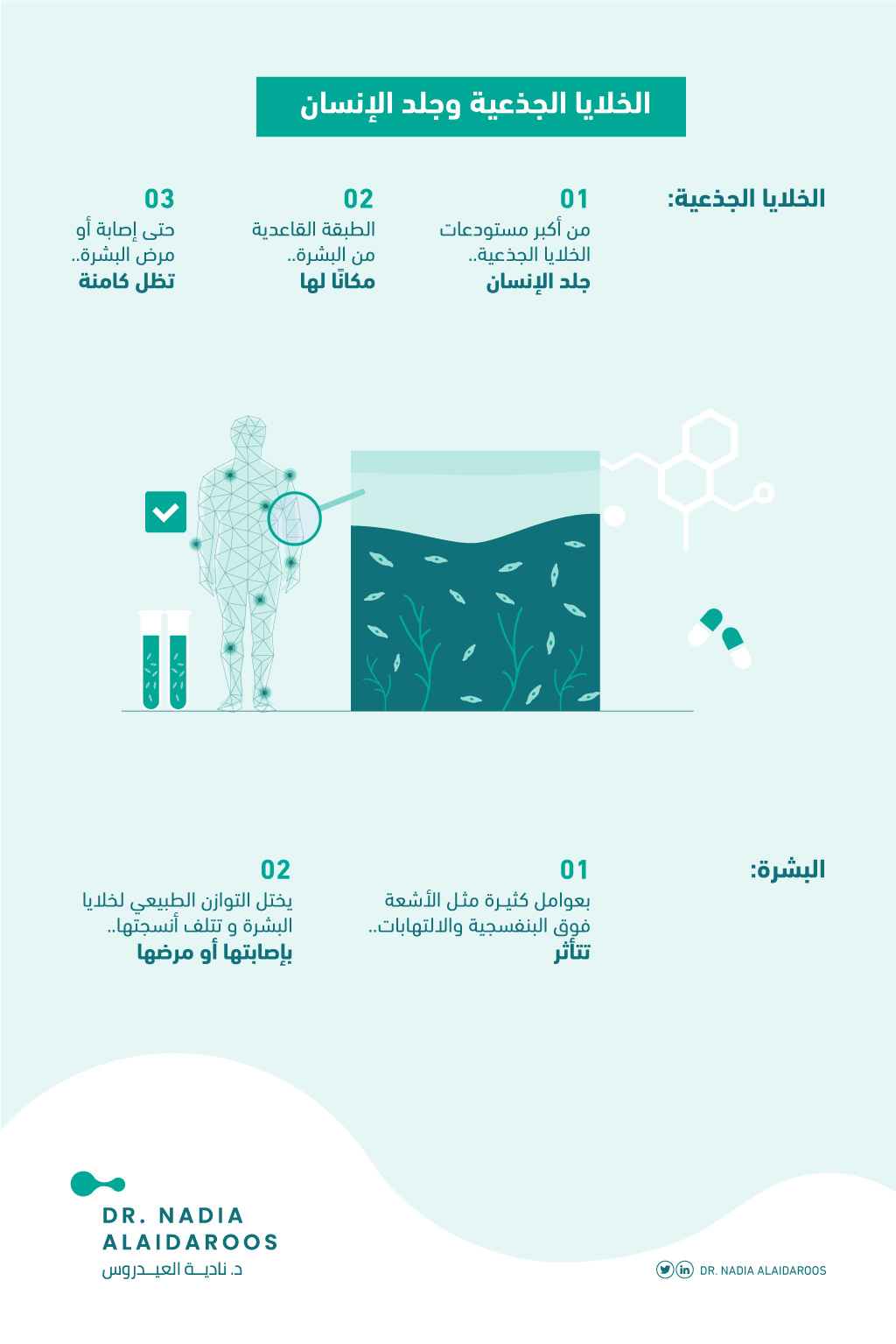 infographic-article-3-arabic-1.jpg